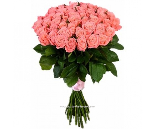 Flowers 51 rose "Anna Karina"