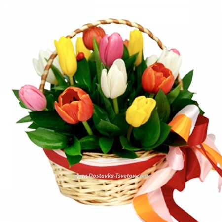 Tulips in the basket "Berry"