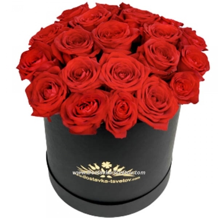 Box of red roses "Doria"