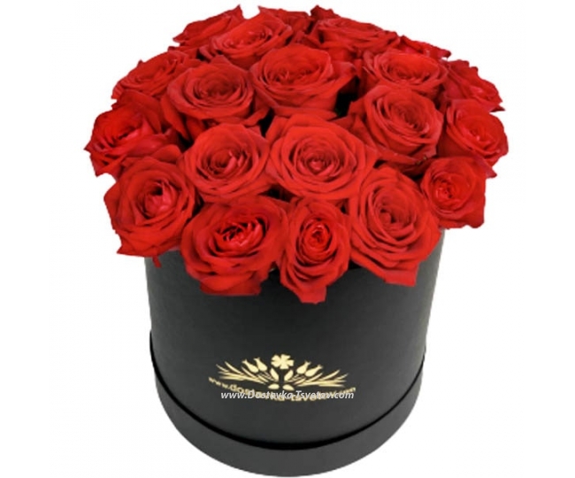 Red roses Box of red roses "Doria"
