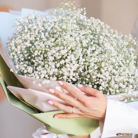 Gypsophila bouquet "White Mountain"