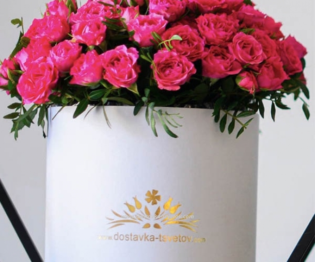 Shrub roses in a box "Melody" - photo #3