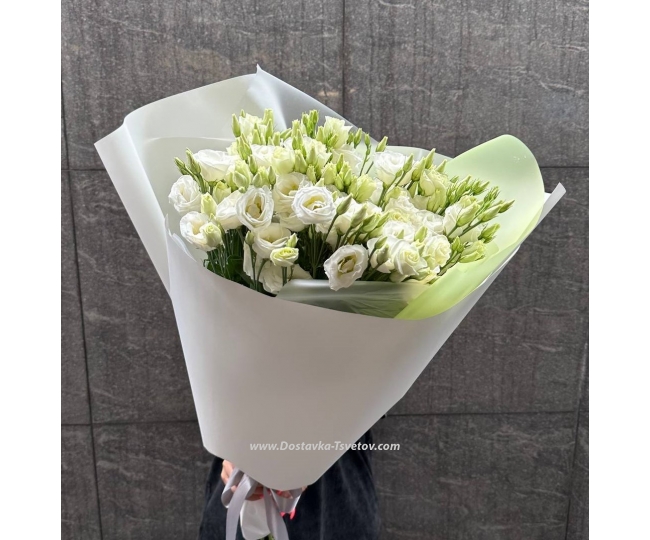Flowers Delicate eustoma "White Lace"