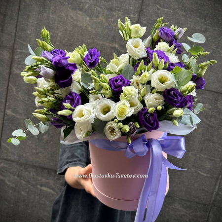 Gorgeous eustoma "Bali"