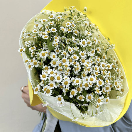 #9 Bouquet of 11 daisies