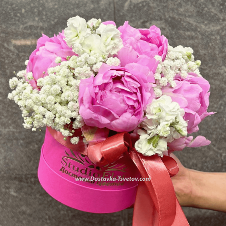 Peonies in a box "Lady in pink"