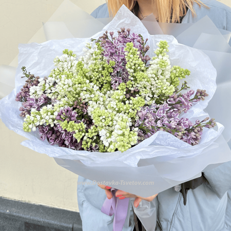 #1 Bouquet of Dutch lilacs