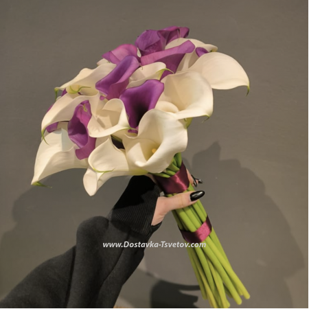 Pink and white callas "Delight"