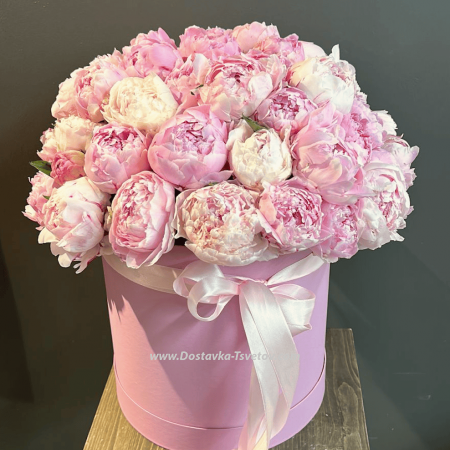 Peonies in a box "Pion Ensemble"