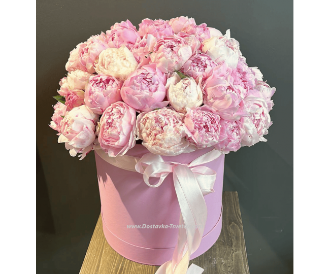 Flowers Peonies in a box "Pion Ensemble"