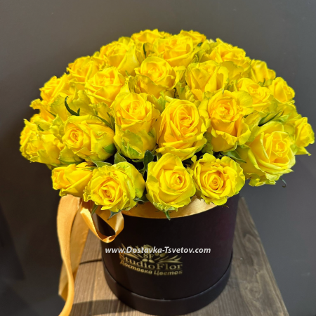 Yellow roses "Radiant"