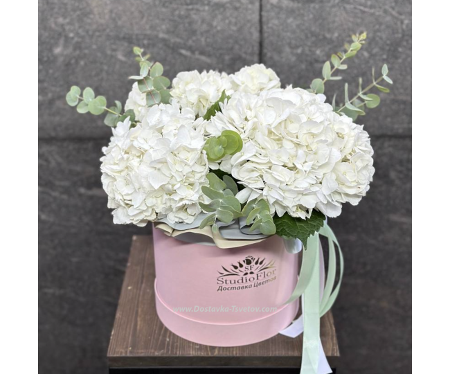 Flowers Hydrangea in a box "Pink Caramel"