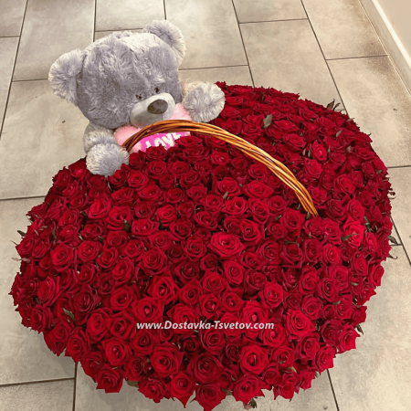 Composition of 301 roses "Bear in Roses"