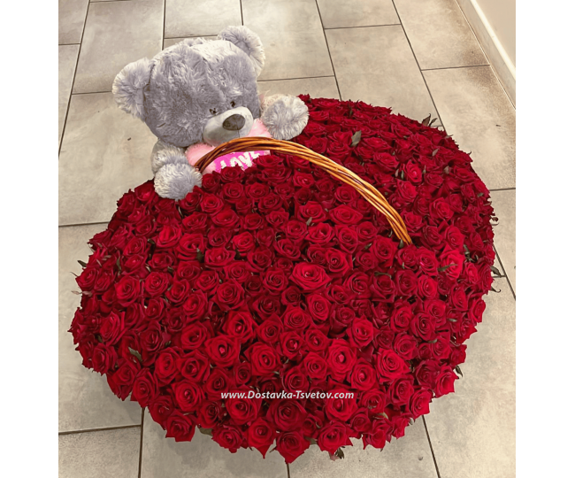 Composition of 301 roses "Bear in Roses"