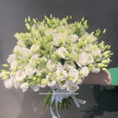 White lisianthus "Ice cream"