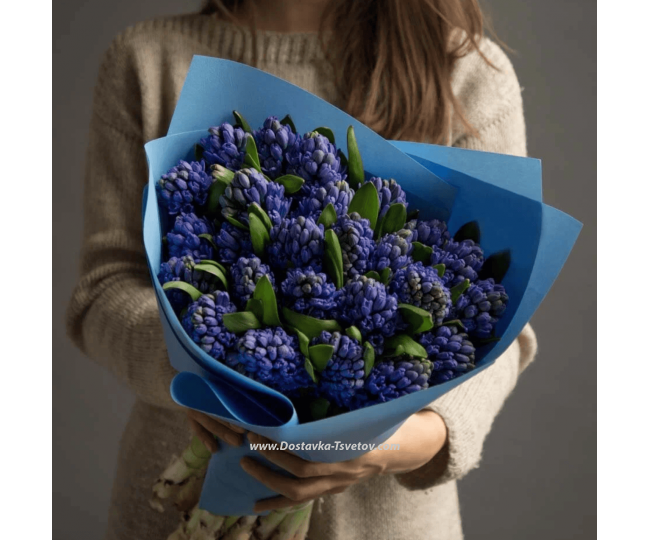 Flowers Hyacinths in the bouquet "Twilight"