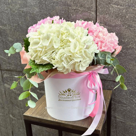 Hydrangeas in a "Bounty" box