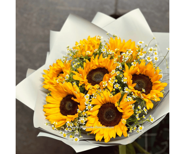 Flowers Sunflowers "Bright Smile"