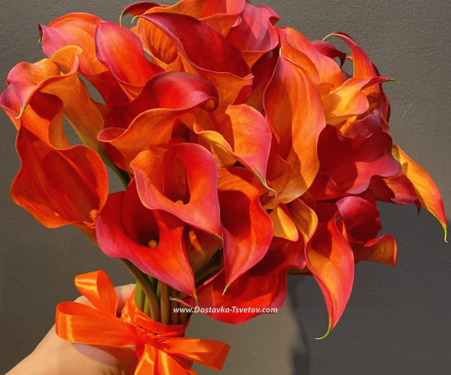 Flowers Bouquet of callas "Orange Sun"