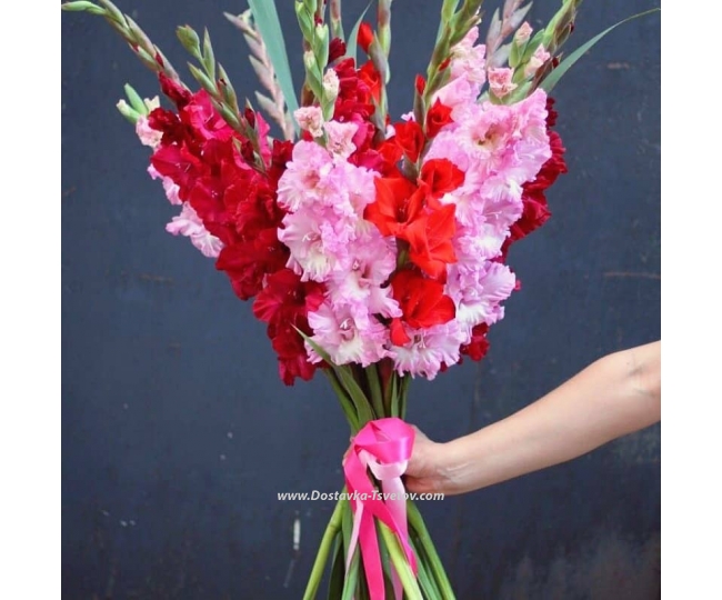 Flowers Bouquet of Gladiolus "Bloom"