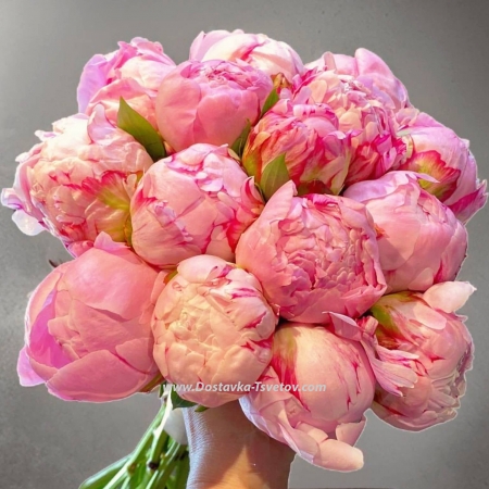 Light bouquet "Cosmo Peony"