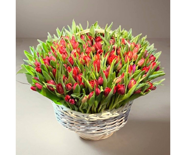 Flowers 301 tulpan in basket "Lyamur"