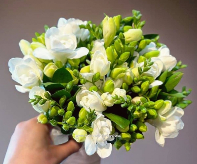 Bride Bridal bouquet of freesias "Splendor"