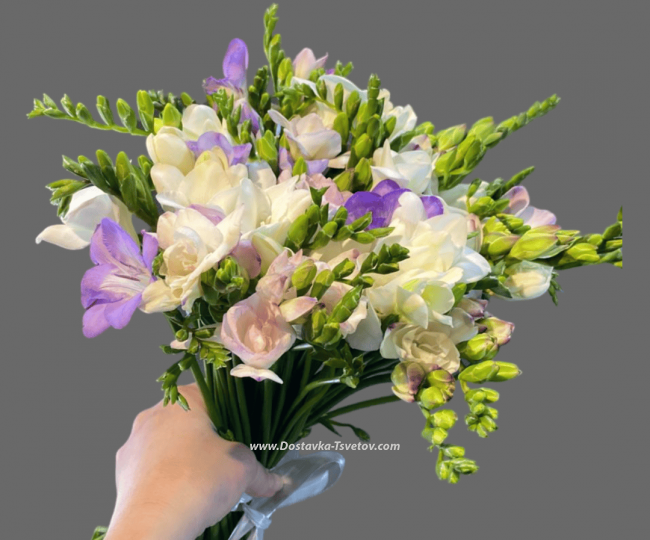 Freesias Original bouquet "Nocturne"