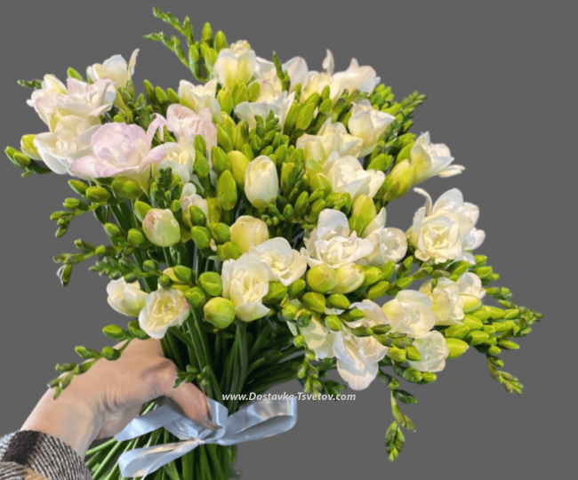 White bouquets White Freesia "Arpha"