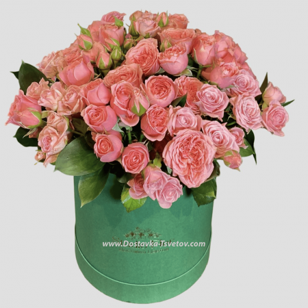 Beautiful pink roses "Nikol"