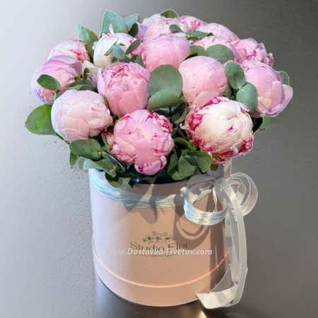 Box of peonies "Elbrus"