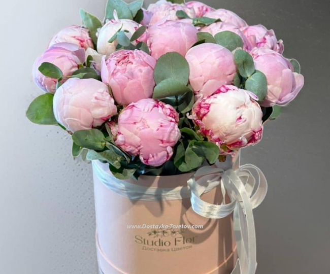 Peonies Box of peonies "Elbrus"