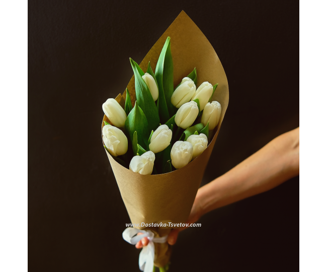 11 tulips																					 white bouquet "Monaco"