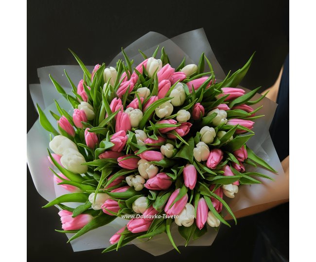 Tulips Mix of tulips "Love"