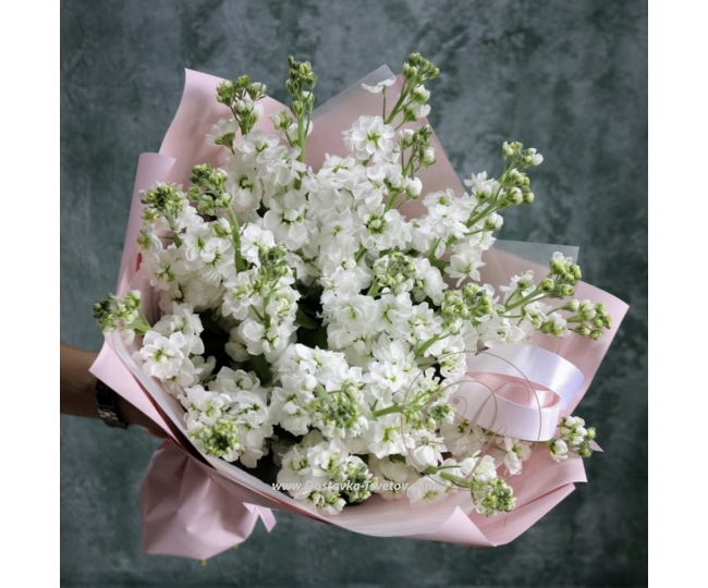 Flowers Bouquet of Mattiola "Snow Queen"