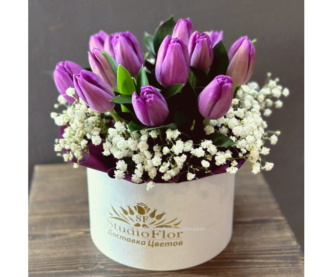 Tulips Purple tulips in a box "Countess"