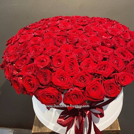 101 red roses "Carolina"