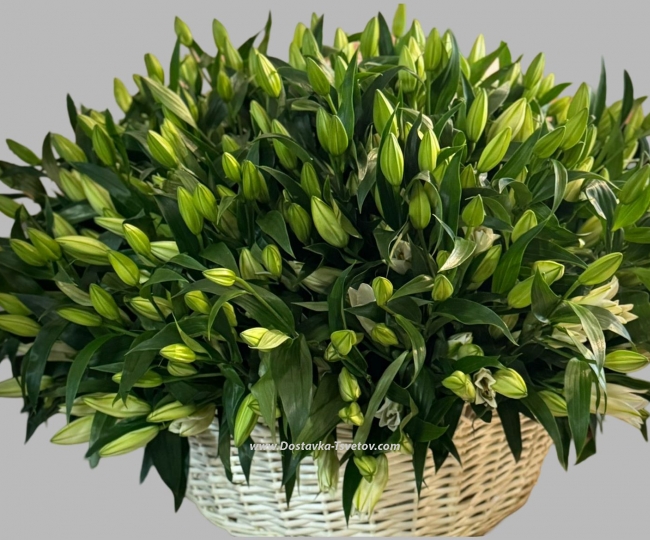 Big basket "Forest Fairy Tale" - photo #2