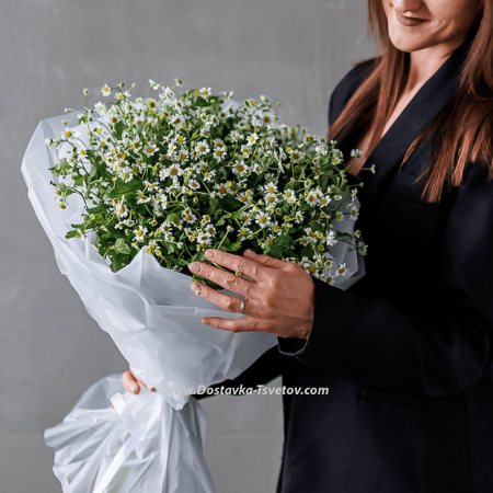 Bouquet of daisies "Adam and Eve"