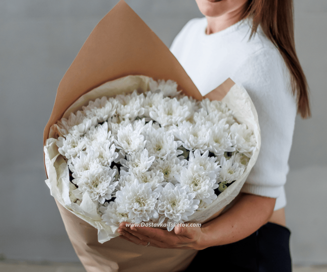 Chrysanthemums Bouquet of white chrysanthemums "Grace"