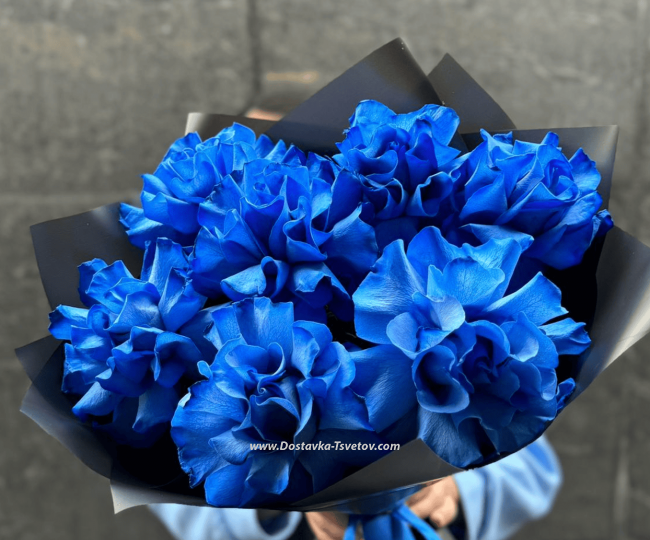 Roses Bouquet of blue roses "Velvet Rose"