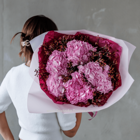 Pink Hydrangeas "Quartz"