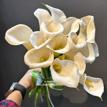 15 callas "Slender Figure"