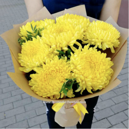 Yellow Chrysanthemum "Amber"