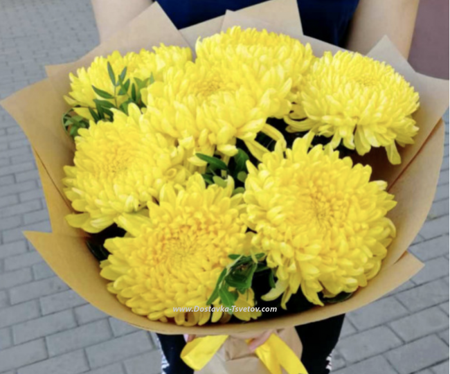 Flowers Yellow Chrysanthemum "Amber"