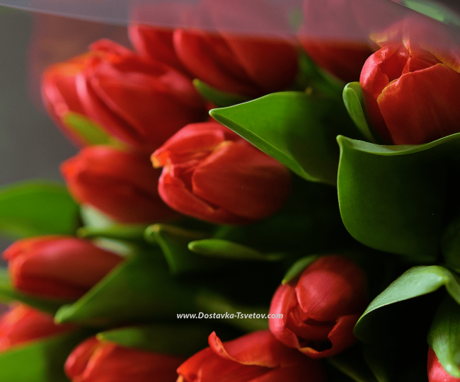 Bouquet of tulips "Matilda" - photo #3