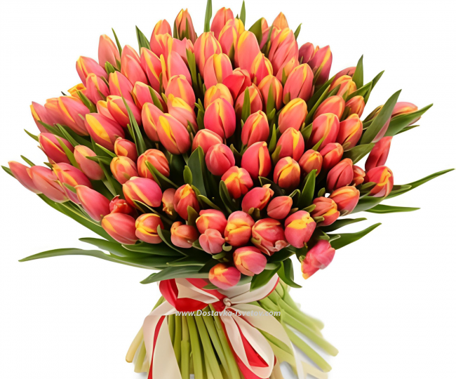 Red yellow tulips Bright bouquet of tulips "Aragon"