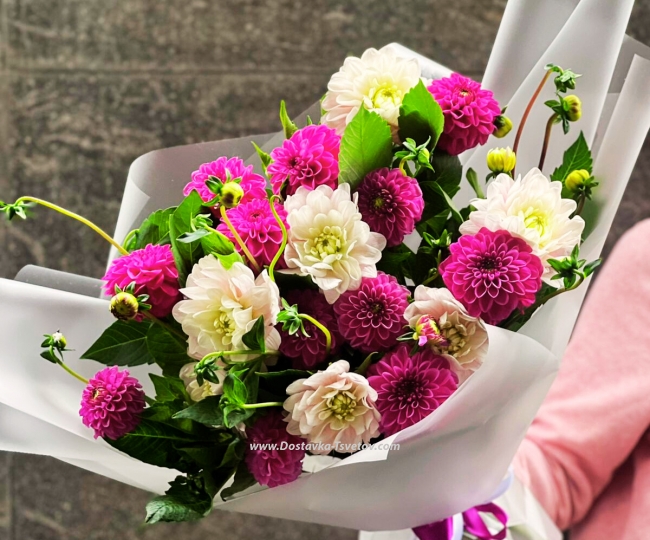 Flowers 19 Dahlia "Flower Fairy"