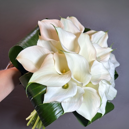 31 white calla lilies "Monica Bellucci"