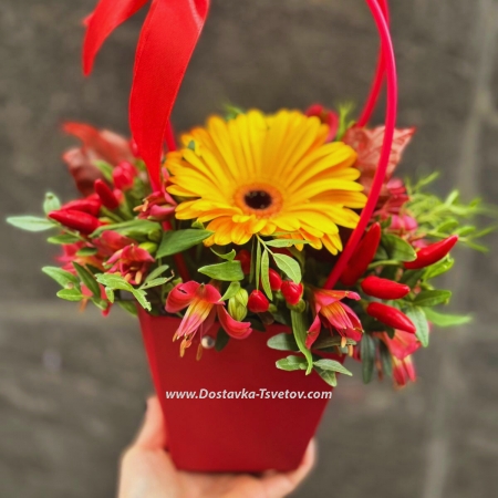 Flowers in a bag "Paprika"